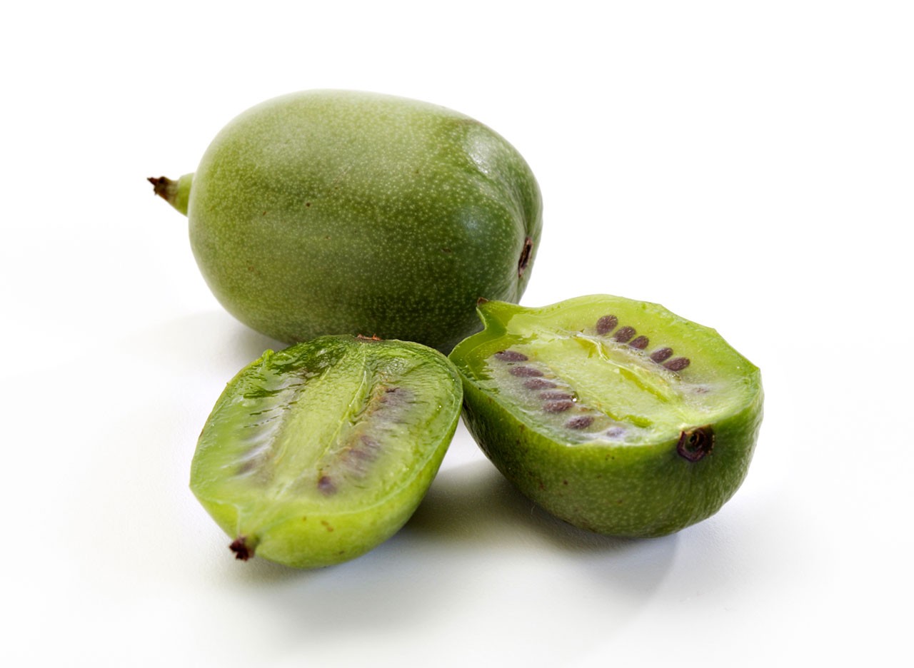 Mini-Kiwi – Blu – Kräuter kann - & Gemüse gesund lecker So